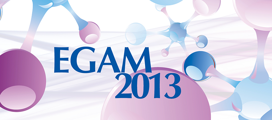 EGAM-2013